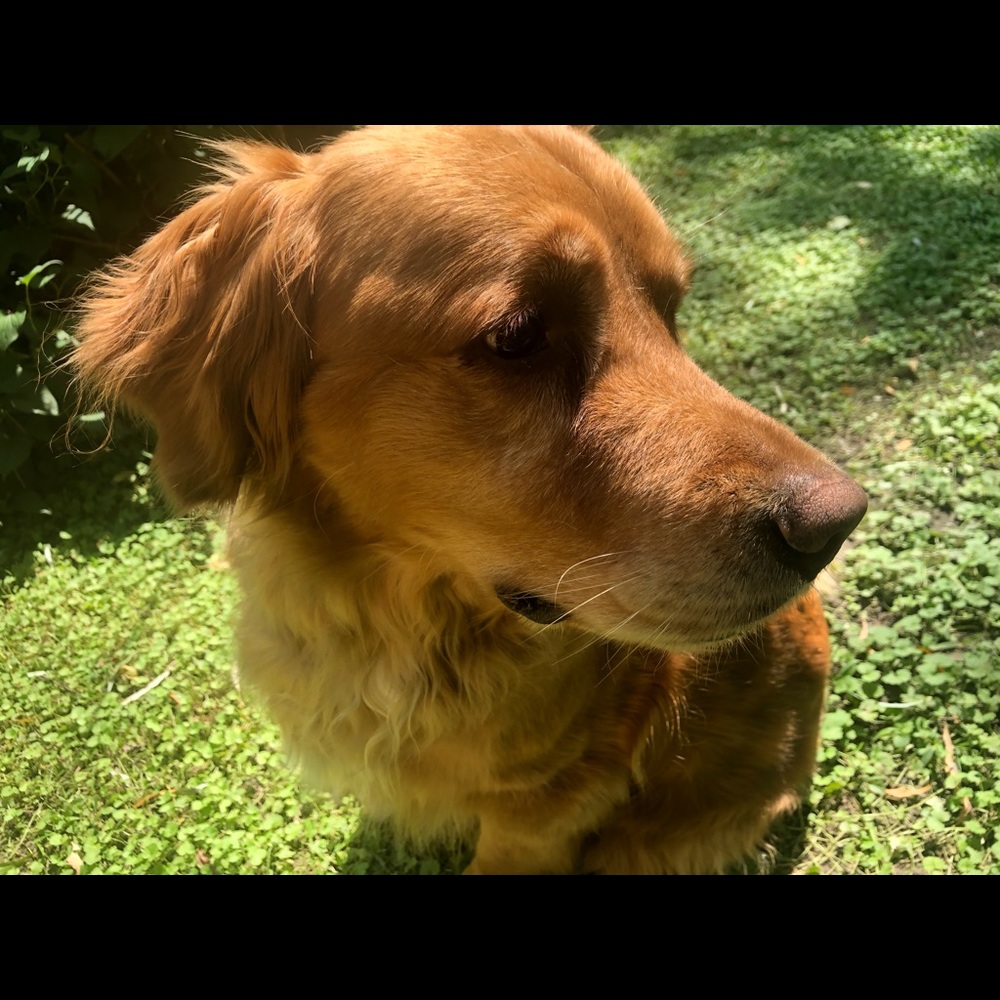 Meet your Posher, Marissa